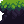 Tile 17